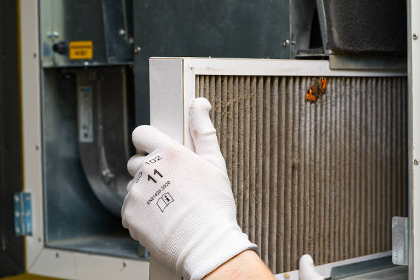 Best General Air Duct Cleaning  in Luray, VA