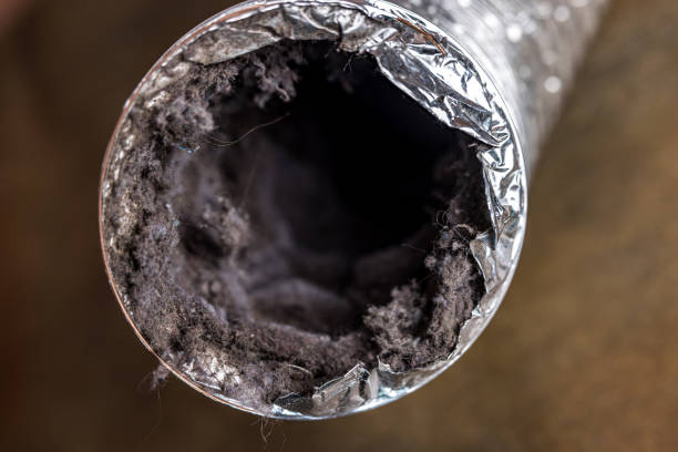 Best HVAC Duct Inspection Services  in Luray, VA