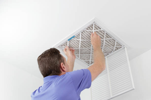 Best Commercial Air Duct Cleaning  in Luray, VA